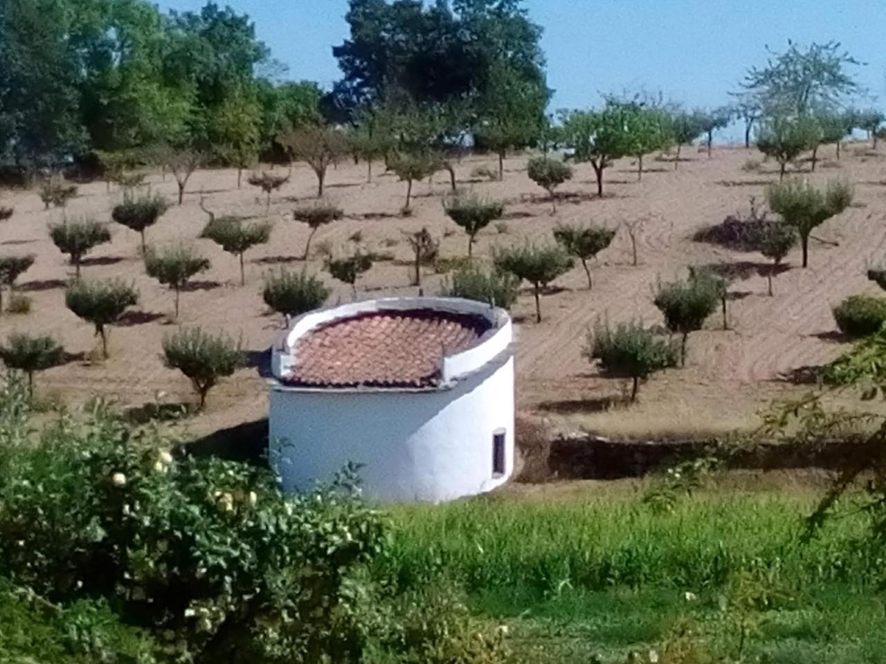 Casa Dos Pombais De Cacarelhos Rural Villa Eksteriør bilde